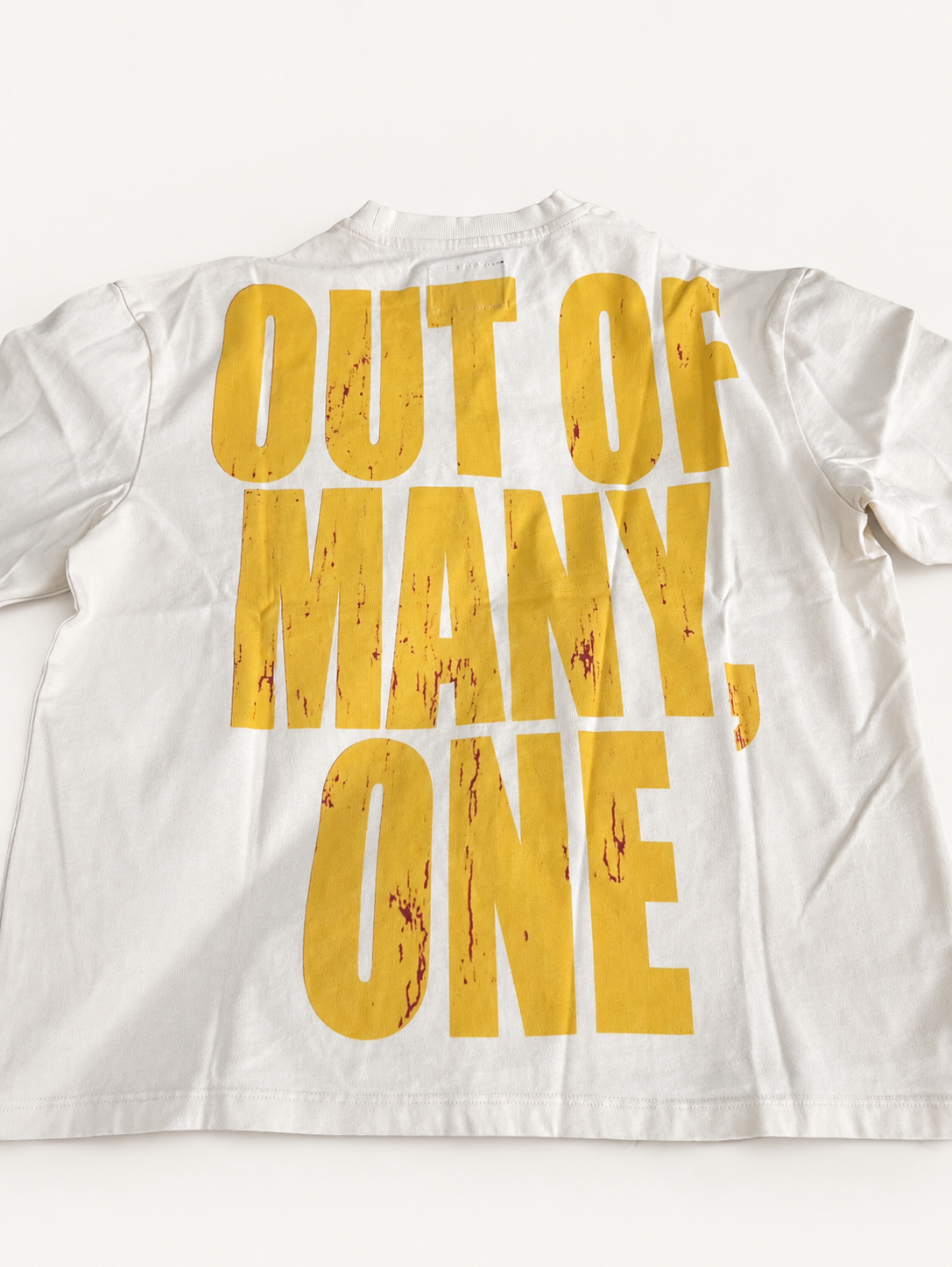 Godspeed Out Of Many One Graphic Tee back view.